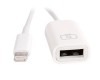 Adaptador OTG Lightning